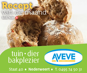 AVEVE_banner-360x300-Recept-juli