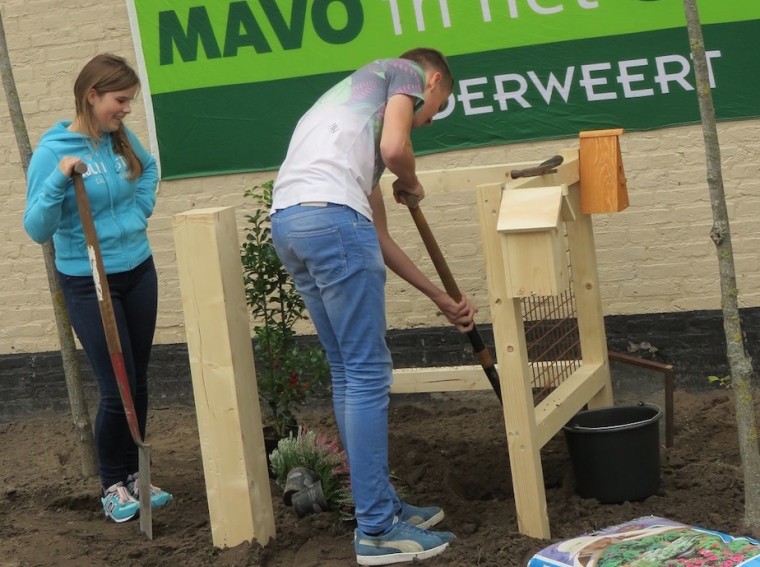 MAVO in het GROEN!
