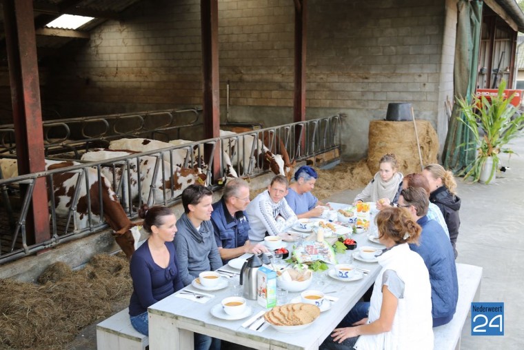 Lunch tussen de Koeien 6200 (1)