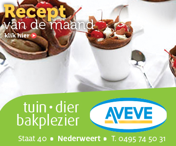 AVEVE_banner-360x300-Recept-december