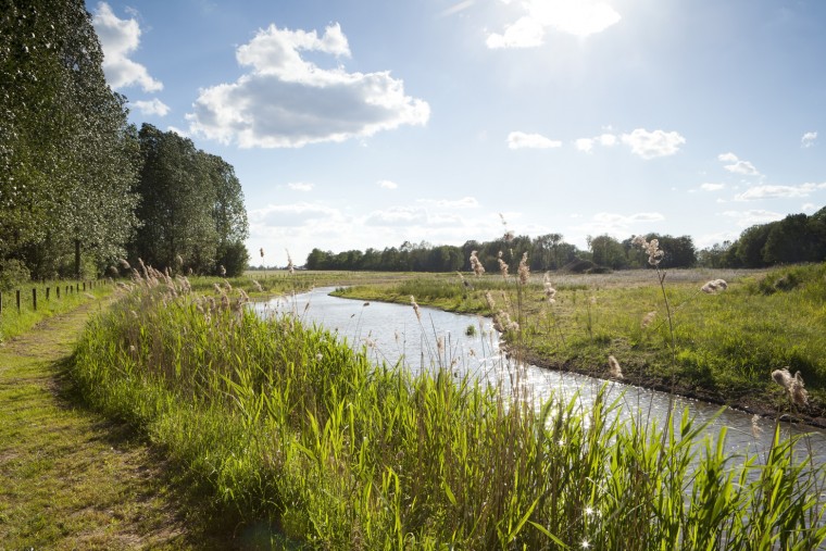 De Krang wordt in het noorden doorsneden door de Leukerbeek en in het zuiden door de Tungelroyse Beek. Het natuurgebied bestaat uit loof- en naaldbos, hakhout, grasland en oude bolle akkers. Door het verschil in hoogte en vochtigheid komen er veel verschillende soorten planten en dieren voor. De Krang was vroeger een nat gebied. Op sommige plaatsen zijn door wegstuivend zand duizenden jaren geleden kommen in het dekzand ontstaan; hier vormden zich moerassige gebieden die door de plaatselijke bevolking werden gemeden. Later werden deze veengebieden door egalisatie en ontwatering geschikt gemaakt voor de landbouw. De Roukespeel is een overblijfsel van zo’n voormalig moerasgebied. Er staat een vogelkijkscherm langs de wandelroute, waar u vaak dodaars en wintertaling kunt spotten. Door ontwateringssloten af te dammen wil Natuurmonumenten De Krang weer natter maken. Ook diverse poelen zorgen ervoor dat het water langer in het gebied blijft. In de poelen leven amfibieën als alpenwatersalamander en kamsalamander. Bij de Leukerbeek is een ven gerestaureerd waar nu riet, lisdodde, gele lis en egelskop groeien. In het noorden is een aantal vennen aangelegd waarvan onder andere de kwartelkoning profiteert. In en rond De Krang vindt natuurontwikkeling plaats. Wanneer de humusrijke bovenlaag wordt afgegraven om schraal grasland te ontwikkelen, komen oude zaden bloot te liggen. Wellicht ontkiemen hier zeldzame orchideeën. Om in de natuurontwikkelingsgebieden een gevarieerde begroeiing te krijgen vindt er seizoensbegrazing plaats. (Bron: Natuurmonumenten)