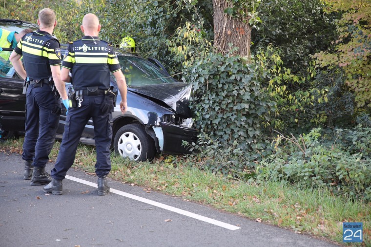 auto tegen boom