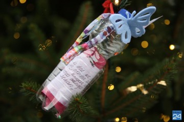 Wensboom Nederweert 3