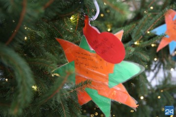 Wensboom Nederweert 4