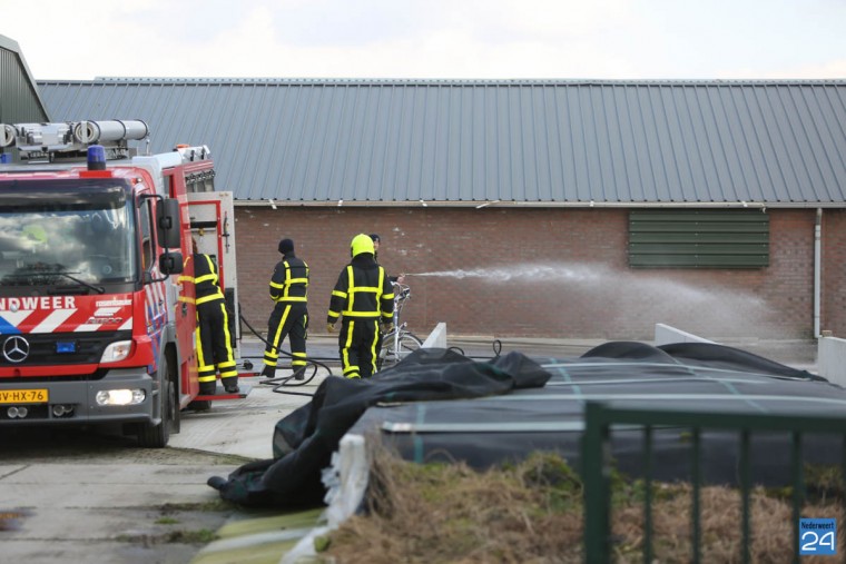 Diesel lekkage bij varkensbedrijf-1