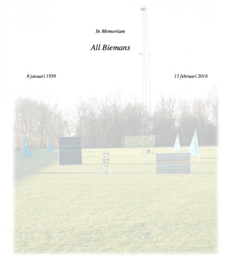 Overlijdensbericht All Biemand 3