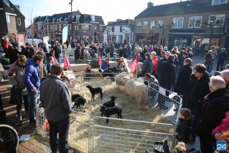 Koopzondag Nederweert 2016-43