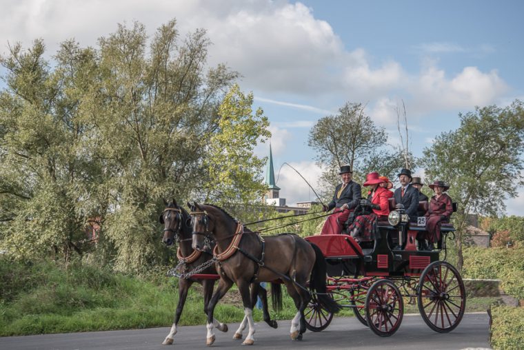 Paard en koets