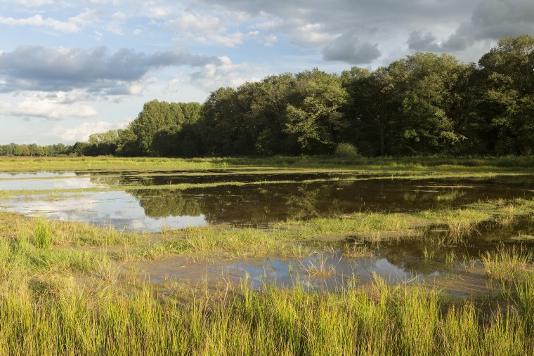 klimaatbuffer Abeek - Bob Luijks - Natuurportret