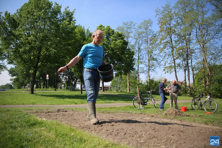 Bloemen inzaaien Budschop-5485