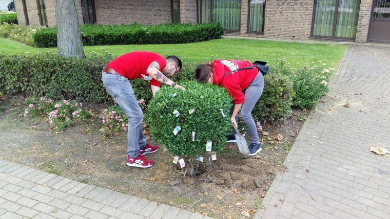 ROOD SP tegen randweg Nederweert