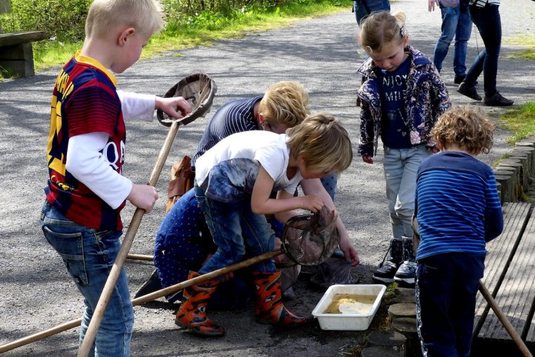 Zomervakantie De Pelen - foto Marijke Vaes-Schroën