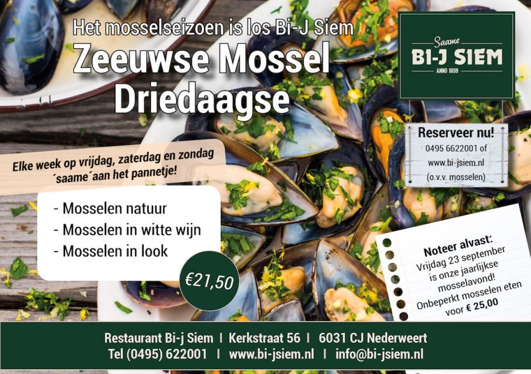 mossel driedaagse1