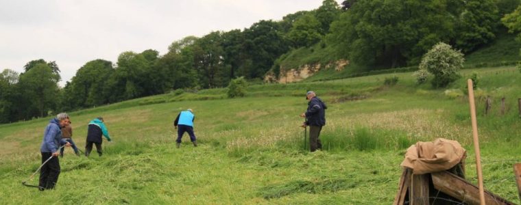 Workshop maaien met de zeis