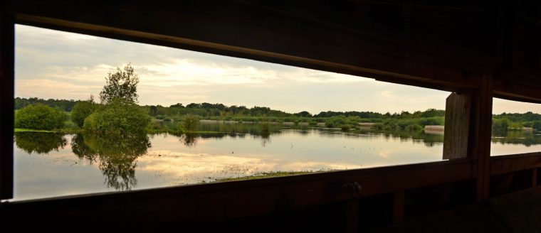 vogelkijkhutDeBanen_HLI_5485