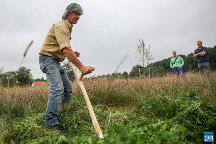 workshop-werken-met-de-zeis-nederweert-eind-1