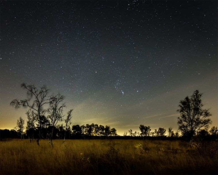 nacht-in-de-groote-peel