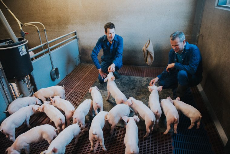 boeren-van-nederweert-de-witte-hoeve