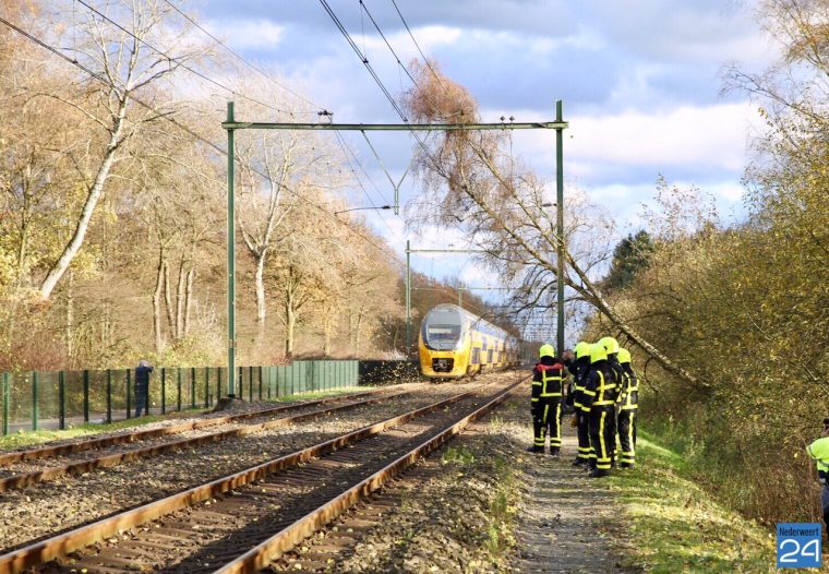 boom-op-spoor-roermondseweg