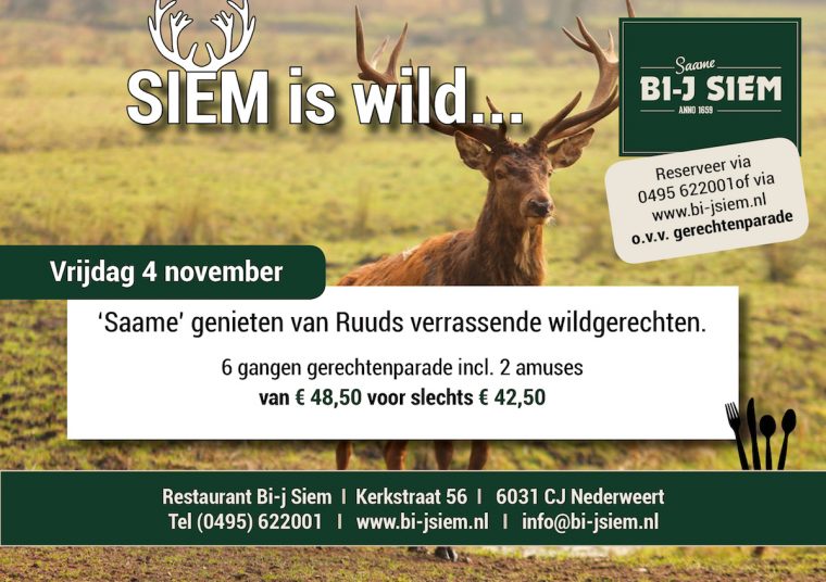 siem-is-wild