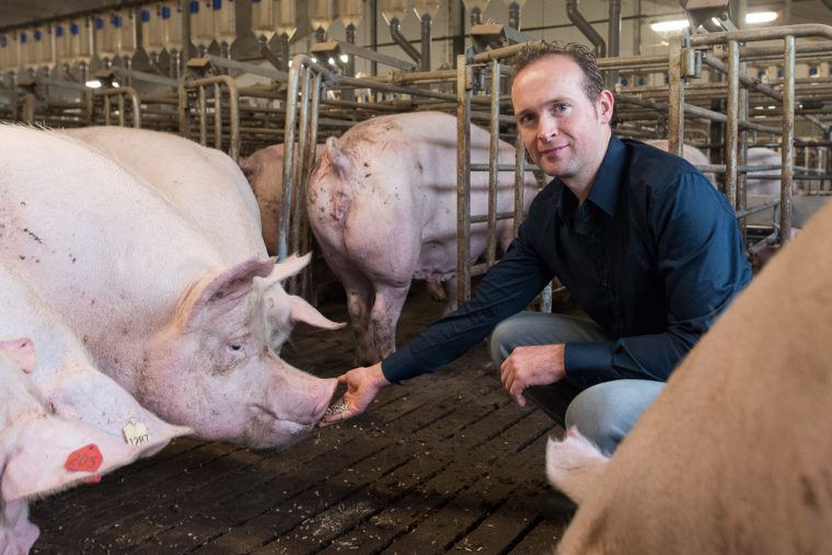 2016_10_28-boeren-van-nederweert-boerderij-smolenaers-_poo0639_-johan-horst-fotografie-weert-web