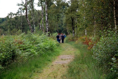 in-het-spoor-van-de-boswachter