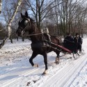 Arren door de sneeuw