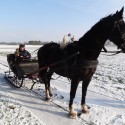 Arren door de sneeuw