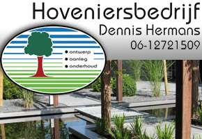 dennis hemerns nederweert logo