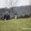 Schapen drijven in Nederweert bij Sluis 1475