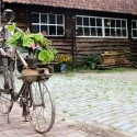 Tussen kunst en bloemen in Eynderhoof