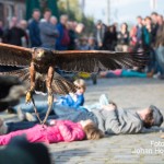 Valkenier Eynderhoof Nederweert-Eind