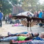 Valkenier Eynderhoof Nederweert-Eind