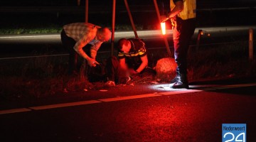 Backpacker aangereden op A2