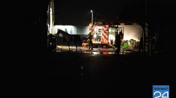 Brand koekoeksweg Weert paardenstal