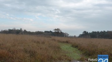 Herfst in de Groote Peel