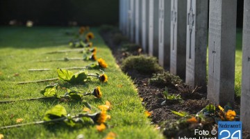 Nederweert Herdenking Britse begraafplaats zonnebloemen