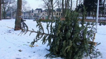 huis-aan-huis ophalen kerstboom