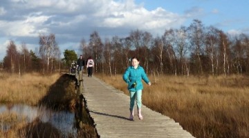 Winterwandeling in De Groote Peel Ospel