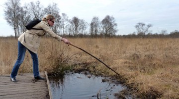 wandeling De Groote Peel