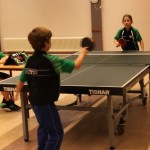 Tafeltennis Nederweert