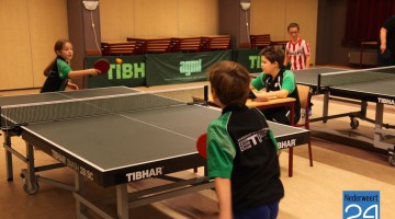 Tafeltennis Nederweert