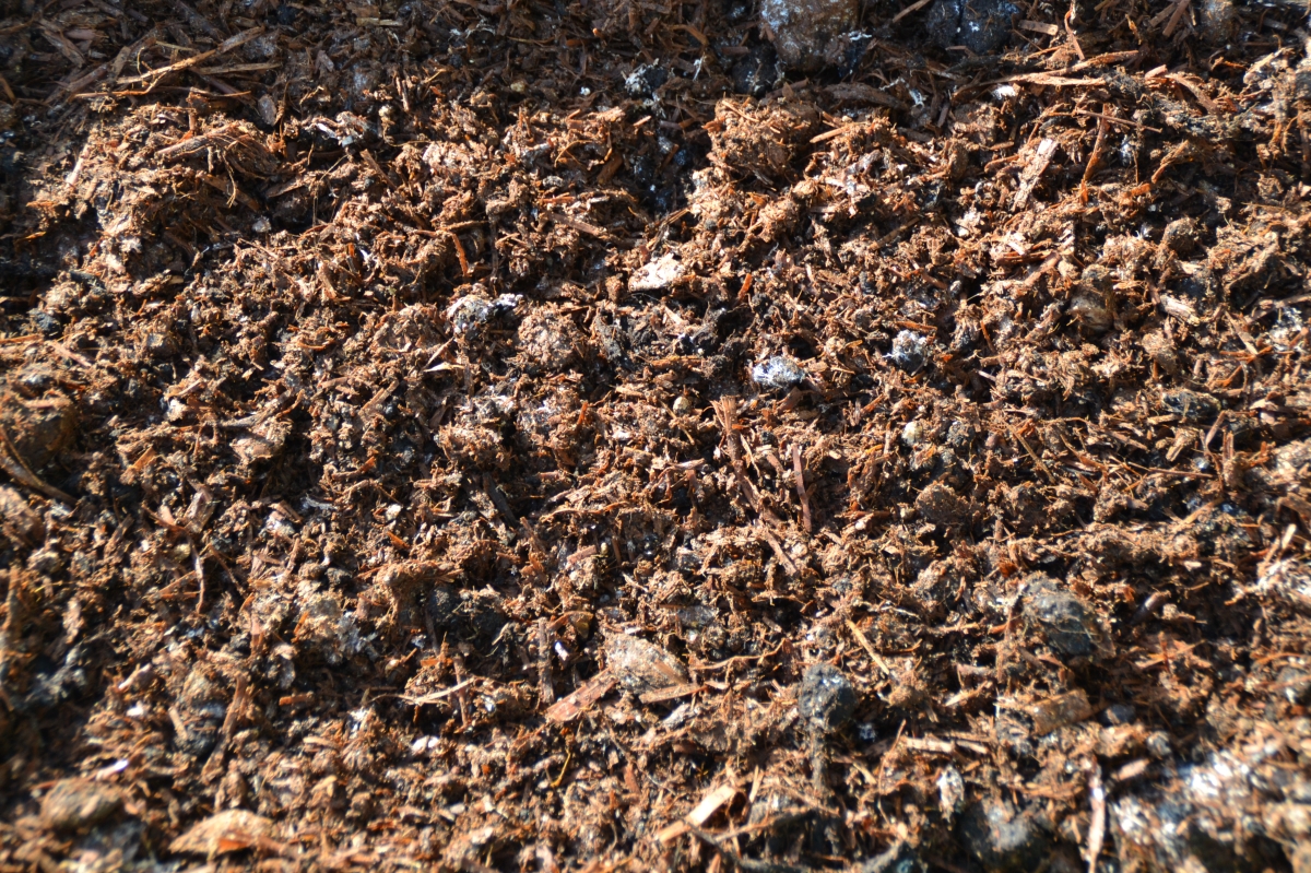 Champignonmest nodig? - Nederweert24