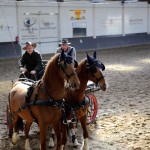 Rijvereniging Rijlust Ospel