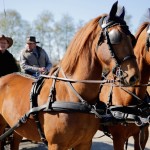 Rijvereniging Rijlust Ospel