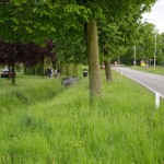 Pannenweg Nederweert ongeval