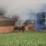 Brand geitenboekerij Weert 4369