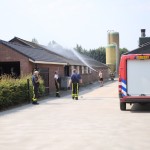 brandweer koelt stal