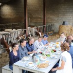 Lunch tussen de Koeien