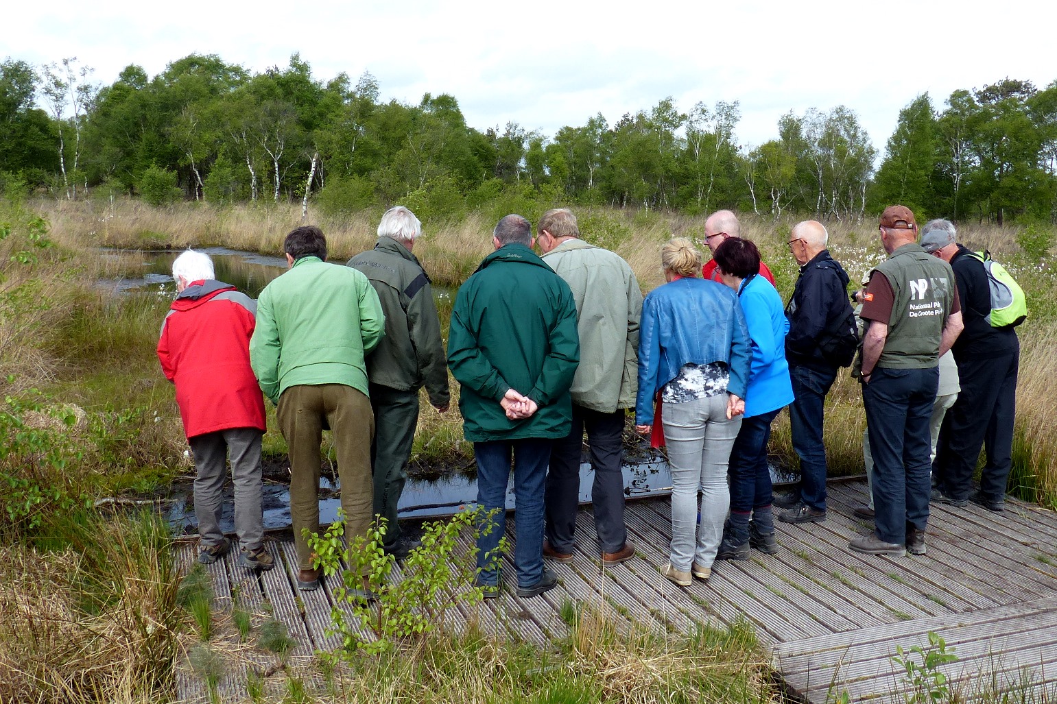 Wandel in het spoor van de turfsteker - Nederweert24